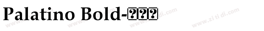 Palatino Bold字体转换